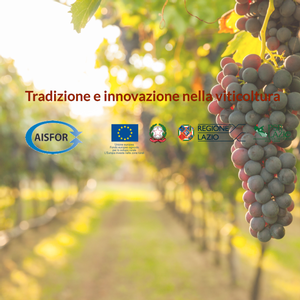 Potatura della vite: iscrizioni aperte