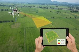 Agricoltura integrata kiwi e drupacee: iscrizioni aperte