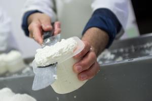 Corsi della milk academy